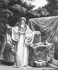 1815 druid