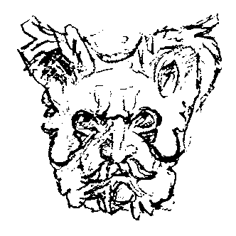 The Mask Of Herne